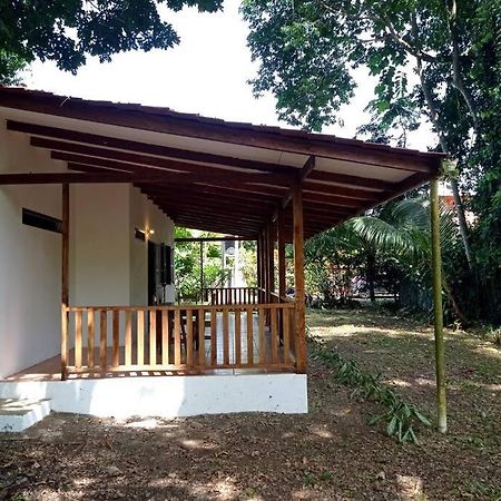 Вілла Green Papaya Puerto Viejo de Talamanca Екстер'єр фото