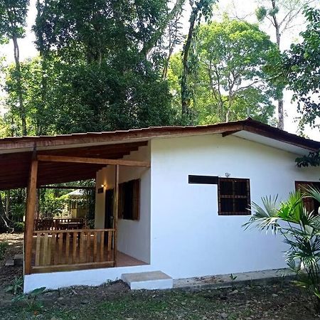 Вілла Green Papaya Puerto Viejo de Talamanca Екстер'єр фото