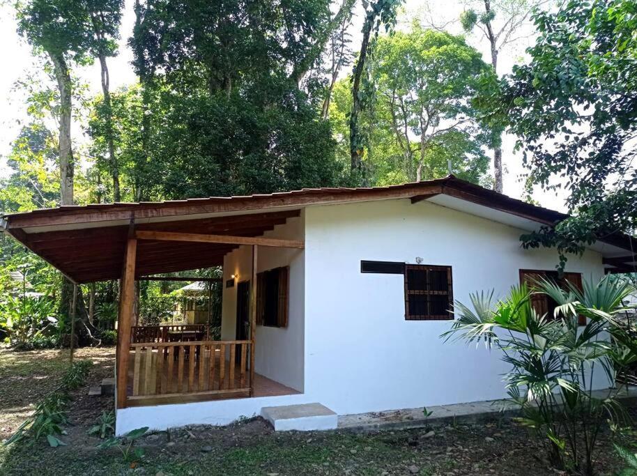 Вілла Green Papaya Puerto Viejo de Talamanca Екстер'єр фото