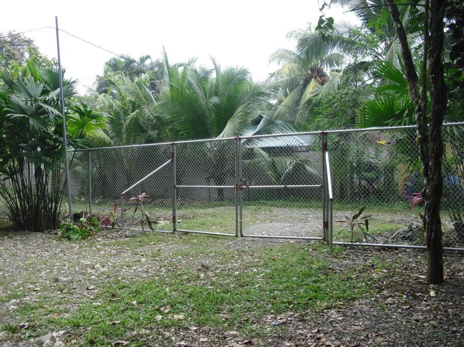 Вілла Green Papaya Puerto Viejo de Talamanca Екстер'єр фото