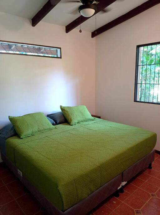 Вілла Green Papaya Puerto Viejo de Talamanca Екстер'єр фото